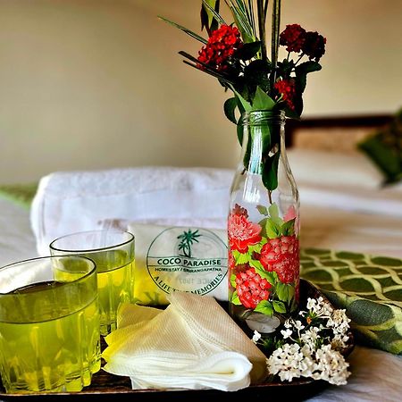 Coco Paradise Homestay Shrīrangapattana Kültér fotó